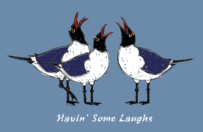 Laughing Gull Graphics